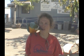 When clicked, Show still image