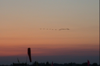 When clicked, Show still image